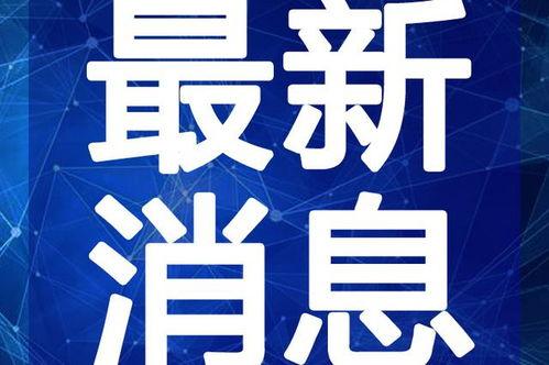 陈泽爆料斩虎视频大全最新,斩虎视频大全幕后真相大曝光