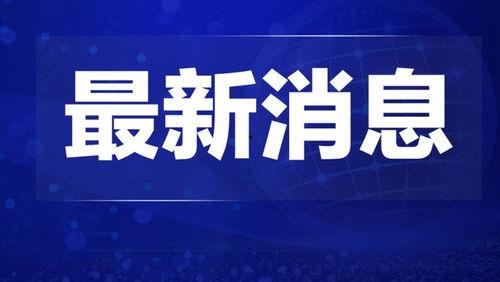 江门热点爆料新闻最新今天,江门突发！最新热点事件引发全城关注